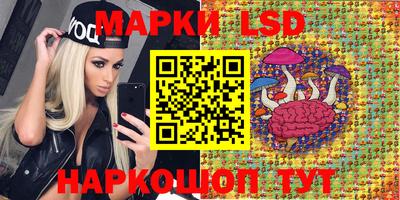 a pvp Гусь-Хрустальный